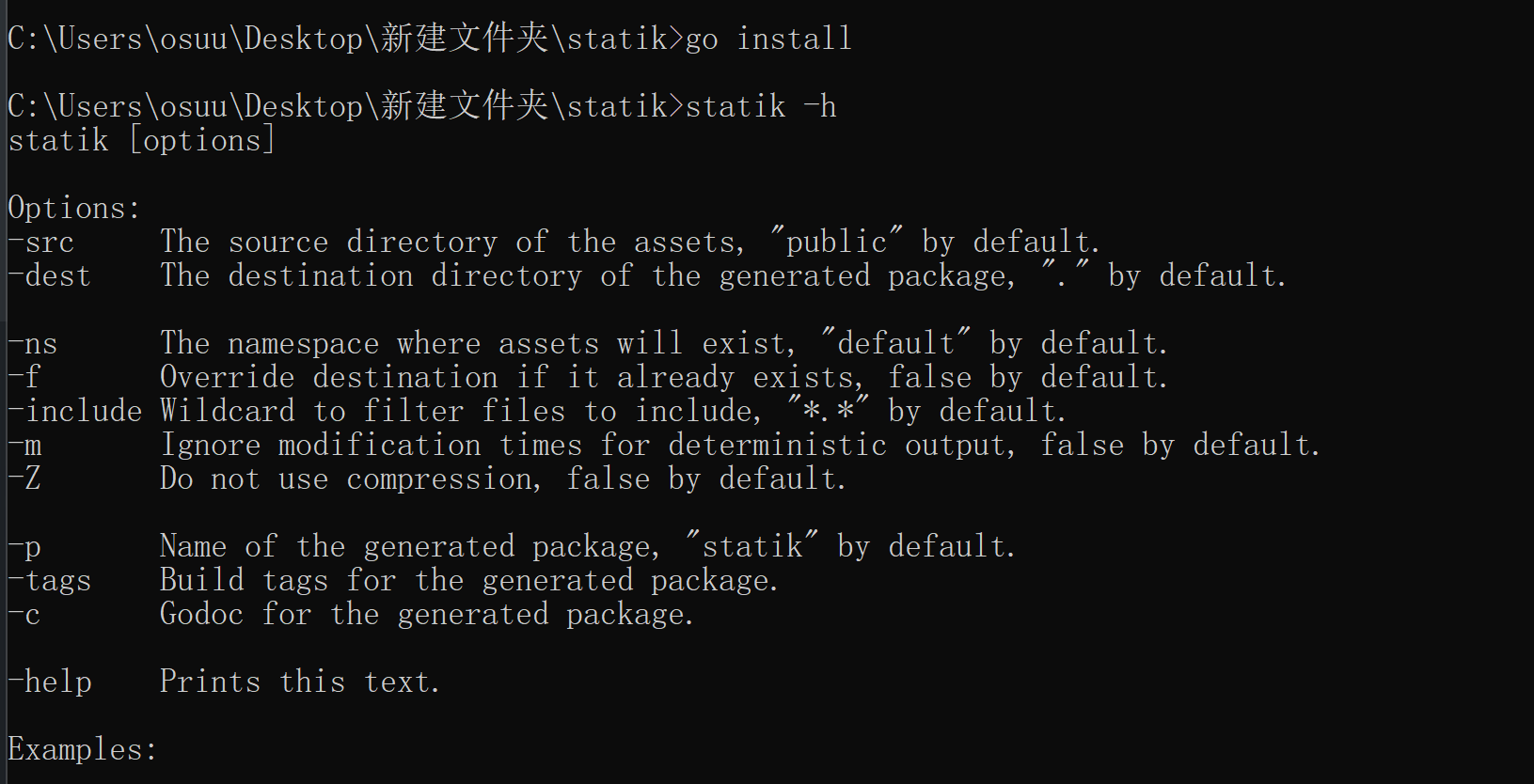 图片[2] - statik安装后运行报错 - 捕风阁